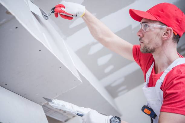 Best Water-Damaged Drywall Repair  in Bee Ridge, FL